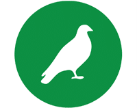 Bird Pest Control Services in Ahmedabad
