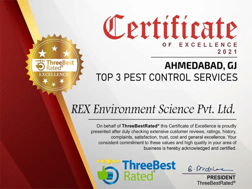 Top-3-Pest-Control-Company