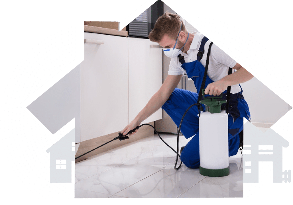 Pest Control for residential