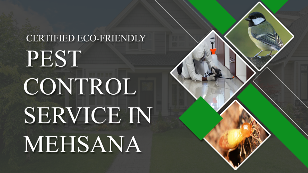 Pest Control Mehsana | Pest Control Service in Mehsana