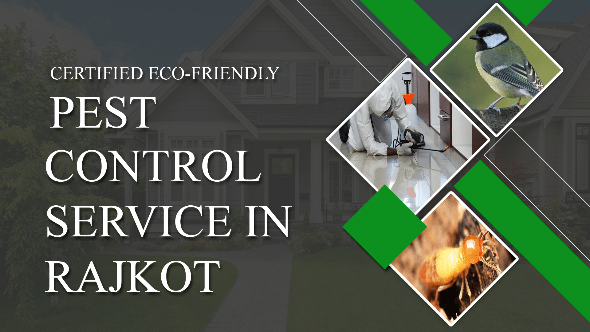 pest control in rajkot | Pest Control Service in Rajkot