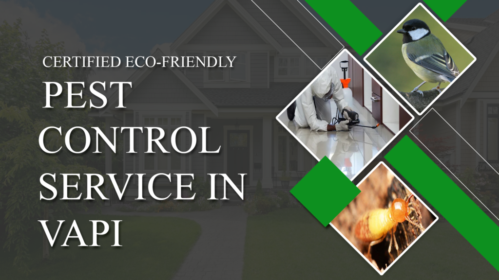 Pest Control Vapi | Pest Control Service in Vapi