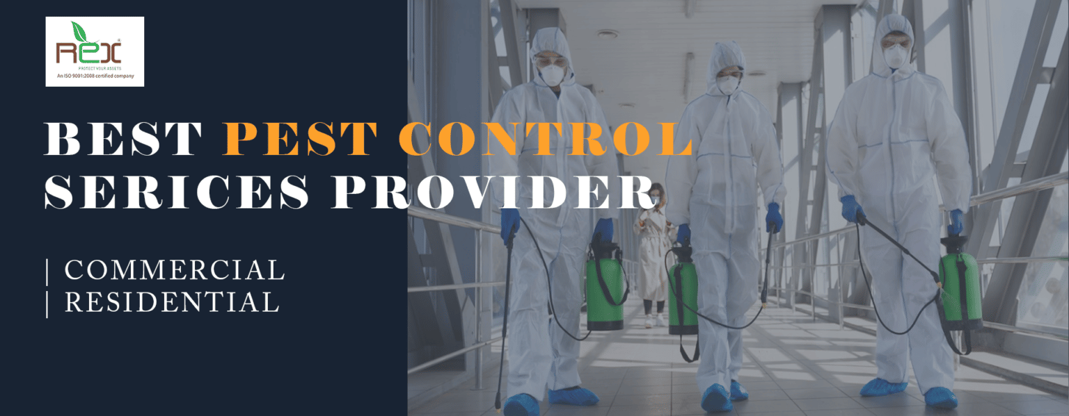 Pest Control Ahmedabad Leading Pest Control Services in Ahmedabad