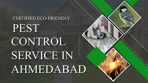 Pest Control Service in Ahmedabad