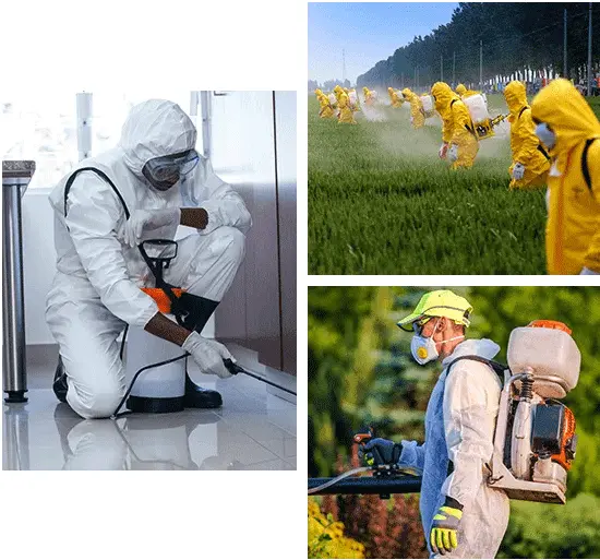 Best Pest Control Services in Ahmedabad
